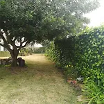 Casa Alfazema - Algarvia De Charme *