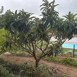 Casa Alfazema - Algarvia De Charme 펜션