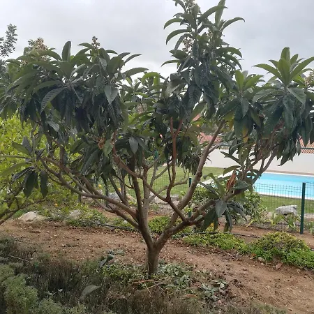 Casa Alfazema - Algarvia De Charme Ferienhaus